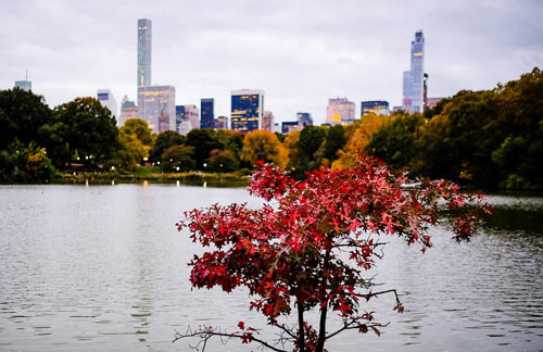 The Sweltering Heat Disappears Overnight: The Strange Weather of New York Summers - New York - 1