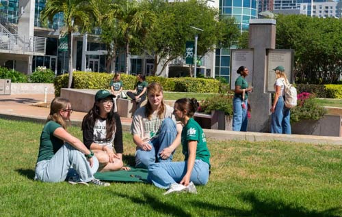 Introduction to the University of South Florida (USF) in Tampa - Tampa - 1
