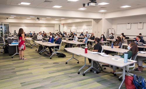 Introduction to the University of South Florida (USF) in Tampa - Tampa - 2
