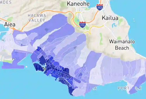 Honolulu Safety and Crime Rate: Useful Safety Information to Know - Honolulu - 1