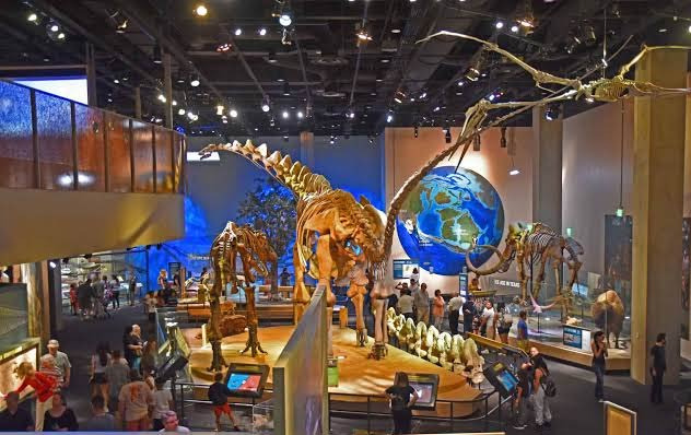 Famous Tourist Attractions in Dallas: From Dealey Plaza to the Perot Museum - Dallas - 2
