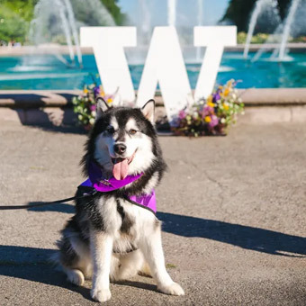 시애틀 최고 대학, University of Washington - Seattle - 2