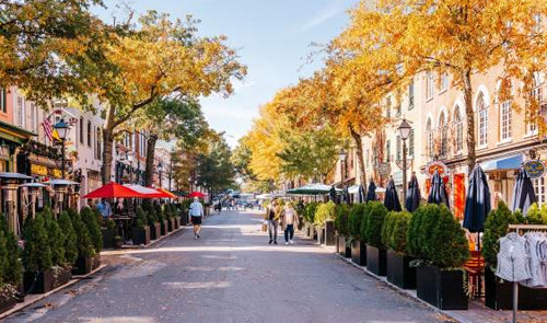 Is Fairfax a Good Area for Immigrants? - Fairfax - 1