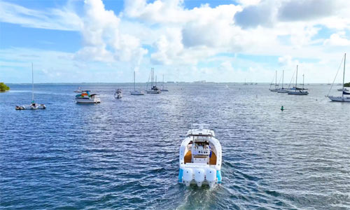 How to Distinguish Seasons in Miami Without a Calendar - Miami - 1