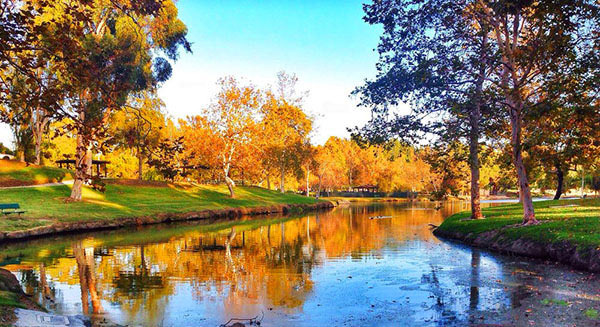 Craig Regional Park and Hillcrest Park in Fullerton - Fullerton - 1