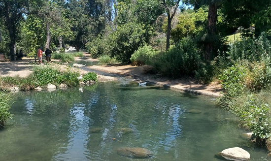 Craig Regional Park and Hillcrest Park in Fullerton - Fullerton - 2