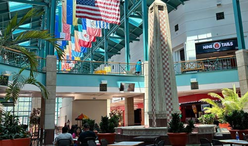 Pros and Cons of Settling in San Antonio After Moving Here - San Antonio - 1