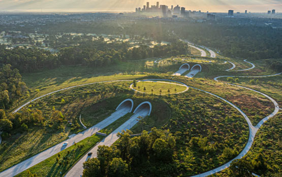 From Memorial Park to Buffalo Bayou Park in Houston - Houston - 1