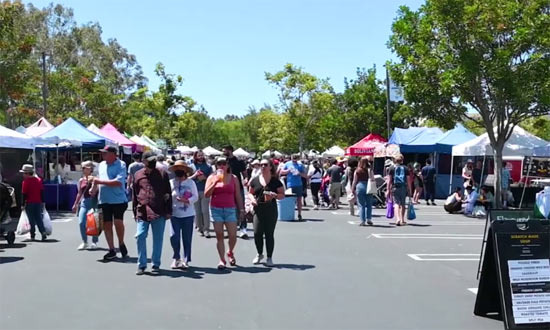 Irvine Was Affordable and Comfortable 30 Years Ago, But Now It's Too Expensive - Irvine - 1