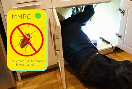 Things to Know About Pests, Allergies, and Endemic Diseases Before Moving to Jersey City - Jersey City - 1