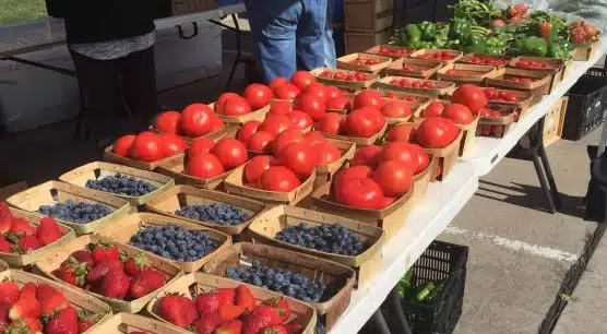 Plano's Local Food Culture is Richer Than You Think - Plano - 2