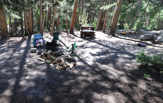 Camping in Collin County near East Fork, Lavonia - Plano - 2