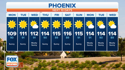 Phoenix Rising: Pros and Cons from an Immigrant's Perspective - Phoenix - 2