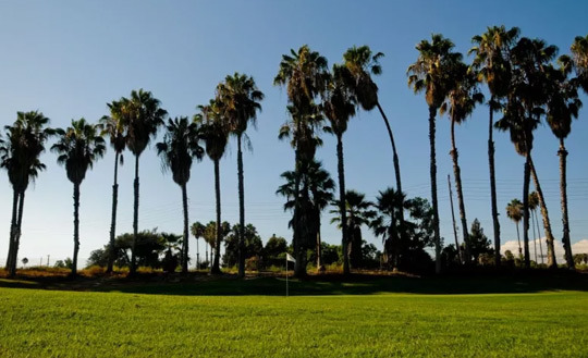 Fullerton Has a Variety of Golf Courses - Fullerton - 2