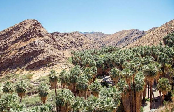 From Palm Springs Park to Indian Canyons and Mount San Jacinto State Park - Palm Springs - 2