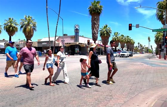 Palm Springs Administrative Areas: ZIP Codes, School Districts, and Tribal Land Structure - Palm Springs - 1