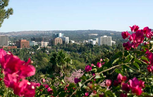 What to Watch Out for in Riverside, CA: Valley Fever and Seasonal Allergies - Riverside - 1