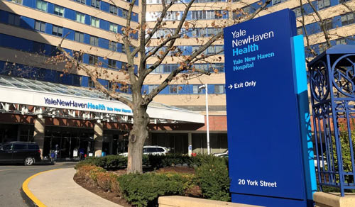 New Haven's Medical Infrastructure is One of the City's Strengths - New Haven - 1