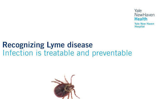 New Haven is the County with the Most Lyme Disease Cases in Connecticut - New Haven - 1