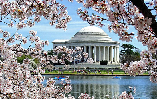 DC Festival Calendar: What You Need to Know in Advance - Washington - 1