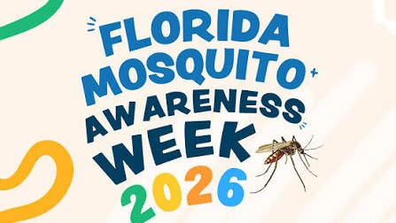 Various Bugs to Watch Out for While Living in Miami - Miami - 1