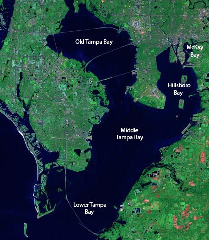Viewing the Composition of This City Through Numbers: Tampa - Tampa - 1