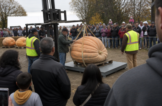 World Record 3,156 Pounds: Americans Spend a Year on One Pumpkin - Indianapolis - 1