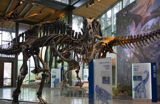 San Antonio's Museums and Cultural Facilities Are Richer Than You Think - San Antonio - 1