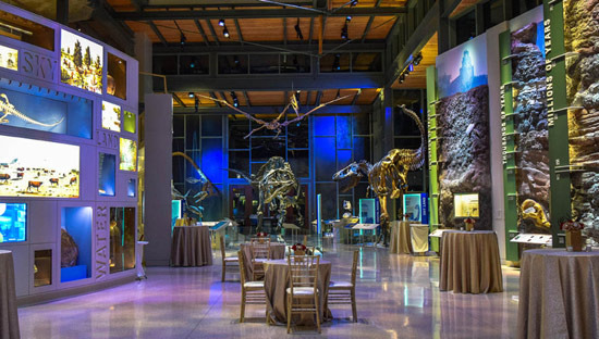 San Antonio's Museums and Cultural Facilities Are Richer Than You Think - San Antonio - 2
