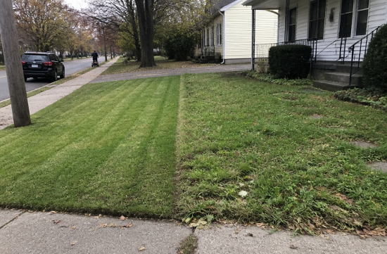 How the Grass in Front of American Homes Quietly Signals Class - Augusta - 1